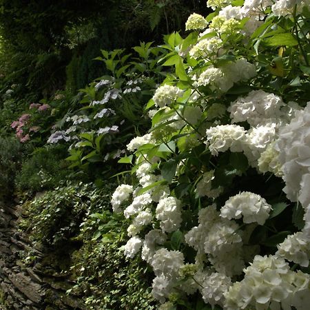Au Charme Du 13 Faubourg De France A Bouillon Villa Екстериор снимка